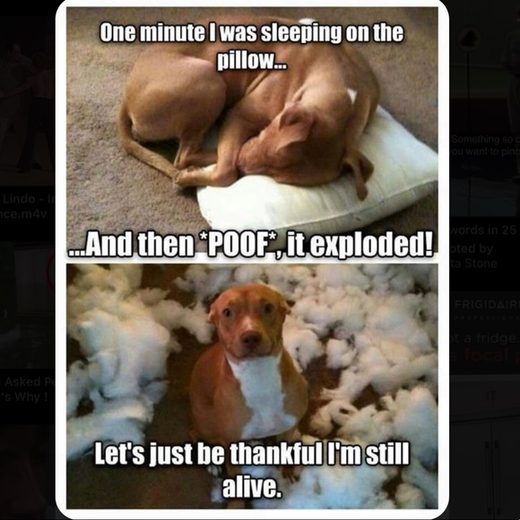 🎈CLOSED! 🎈 FIND F.GAME #14 🌟 Go to Women, Other #14.🌷TY! - Picture 8 of 16